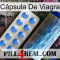 Cápsula De Viagra 40